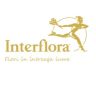00 Logo Interflora Romania auriu - transparent (Flori in intreag